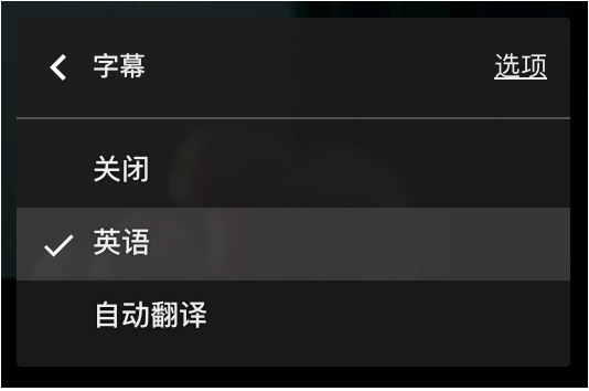 Dualsub(通用字幕渲染器)V1.65.2