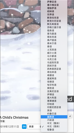 Dualsub(通用字幕渲染器)V1.65.2