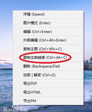 摘月(信息摘录管理软件)