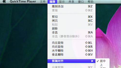 QuickTime(视频播放)