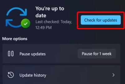 Win11体验版怎么升级正式版 Win11体验版升级正式版方法