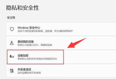 Win11如何进行设备加密？Win11设备加密的方法