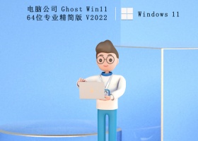 电脑公司 Ghost Win11 64位专业精简版 V2022