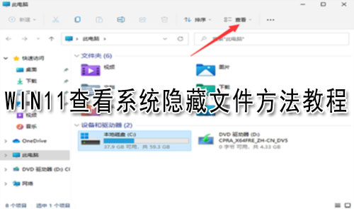 Win11查看系统隐藏文件方法教程