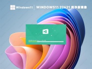 Windows11 22621纯净版ISO(稳定免激活)
