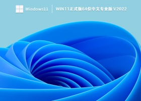Win11正式版64位中文专业版 V2022