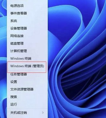 win11专业工作站版开启卓越性能的完整步骤