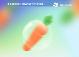 萝卜家园Ghost XP Sp3纯净版 V2022