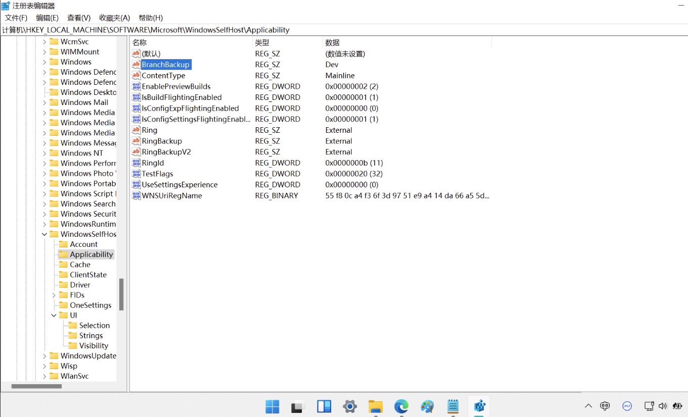 Windows11 22H2绕过TPM2.0检测升级(最新更新)