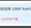 迅雷下载文件提示版权限制怎么绕开?迅雷版权限制文件下载教程