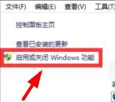 Win11怎么打开IIS管理器?Win11启用IIS管理器方法介绍