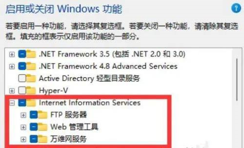 Win11怎么打开IIS管理器?Win11启用IIS管理器方法介绍