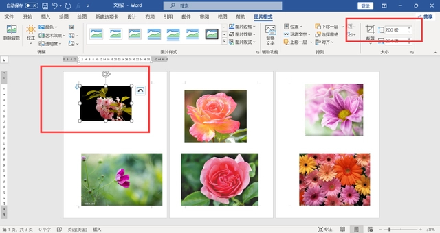 Word文档图片怎么统一调整大小？Word统一调整图片尺寸方法