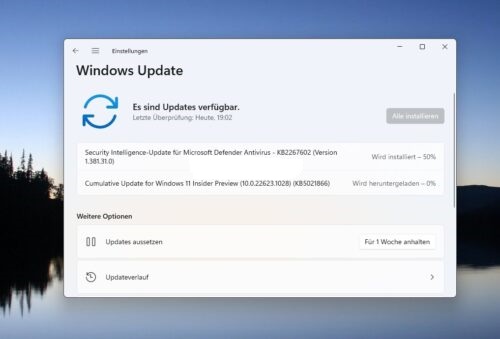 Windows11 KB5021866(22623.1028)Beta补丁包下载