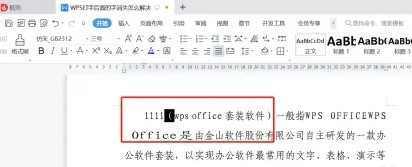wps打字后面的字消失了怎么办?试试这两种方法