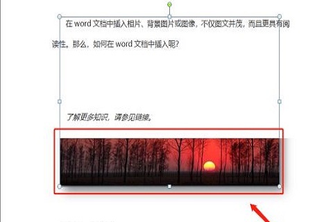 word嵌入式图片显示不全怎么回事?word文档插入图片显示不全