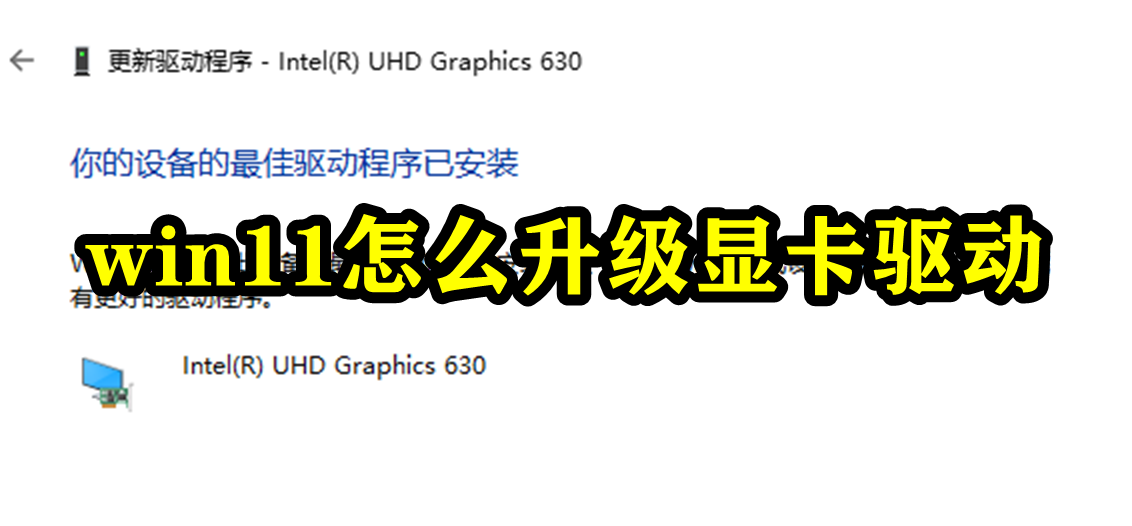 Win11怎么升级显卡驱动？Win11如何更新驱动？