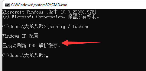 win11系统DNS异常无法上网怎么办？