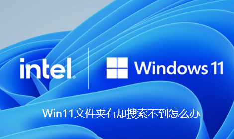 Win11文件夹有却搜索不到怎么办？明明文件夹里有却搜索不到