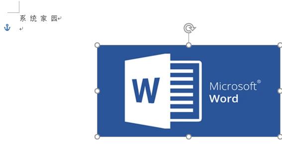 Word文档图片不能随意移动位置怎么办?