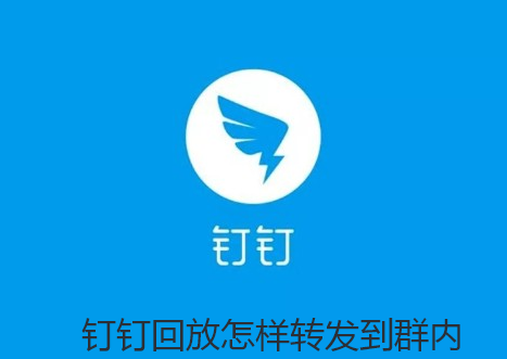 钉钉回放怎样转发到群内？钉钉回放转发到群里教程