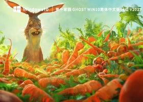 萝卜家园 Ghost Win10简体中文版64位 V2023