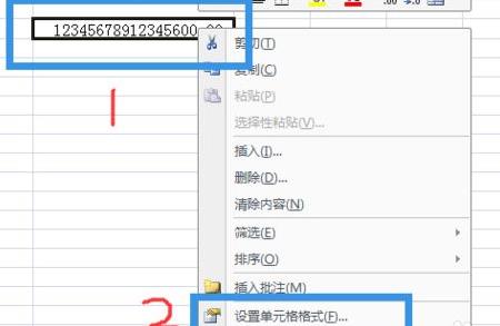 Excel数字显示e+怎么回事？Excel数字显示e+解决方法