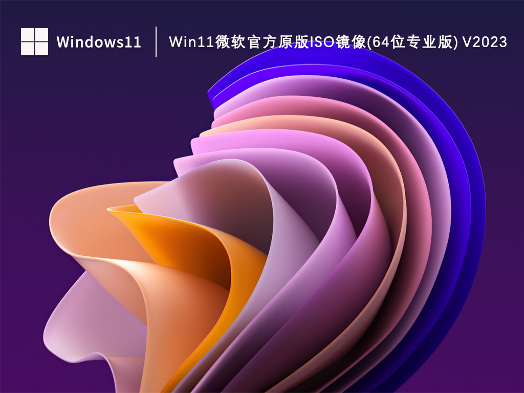 怎么下载Win11专业版？Win11微软官方原版iso镜像(64位专业版)下载