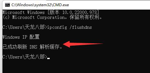 Windows11网络dns异常怎么解决？Win11系统dns异常无法上网的解决方法