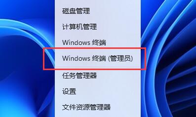 Win11打开图片闪退怎么办？Win11打开图片闪退的解决方法