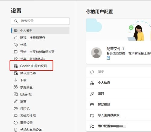Edge浏览器怎么查看Cookie数据?Edge浏览器查看Cookie数据教程