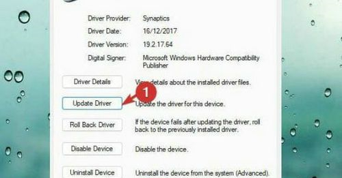 Win11触摸板设置消失了怎么办？Win11没有触摸板设置选项解决方法