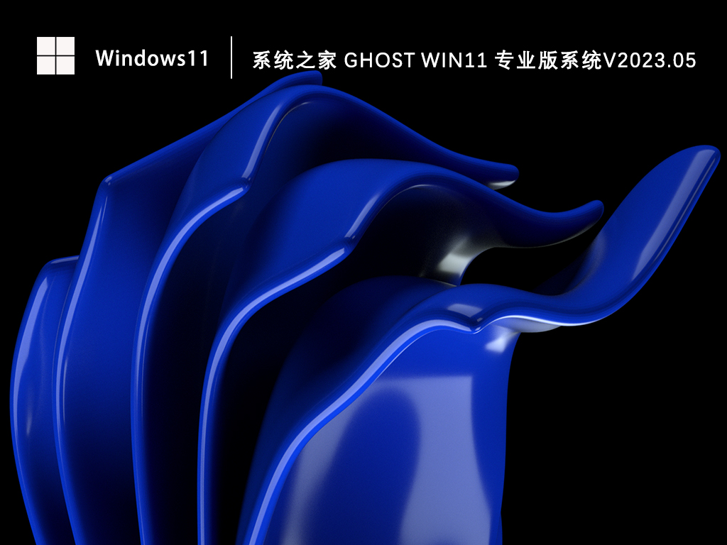 系统之家 Ghost Win11 64位专业版系统V2023.05