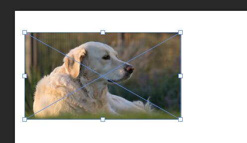 ps图片缩小后变模糊了怎么解决?