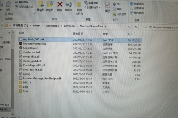 怪物猎人崛起游戏崩溃怎么办?怪物猎人崛起游戏崩溃解决方法