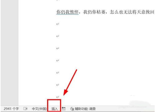 WPS文档编辑时吞字怎么办?WPS编辑文档出现吞字解决方法
