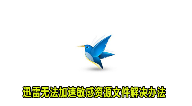 迅雷无法加速敏感资源文件怎么解决？