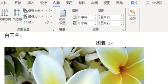 Word文档怎么批量修改图片大小？Word批量调整图片大小方法
