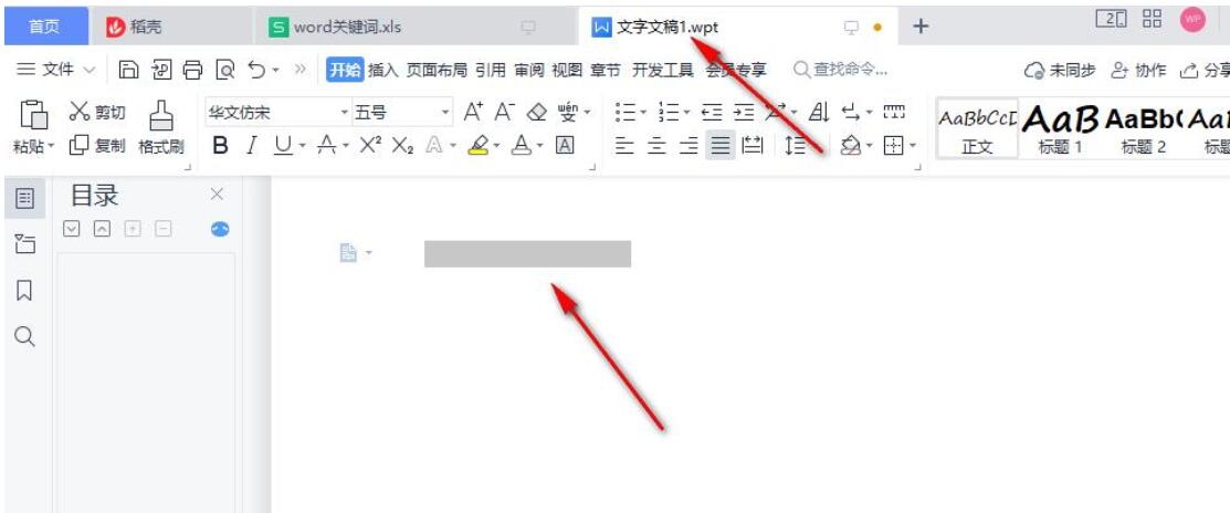 word文档输入文字不显示怎么办?