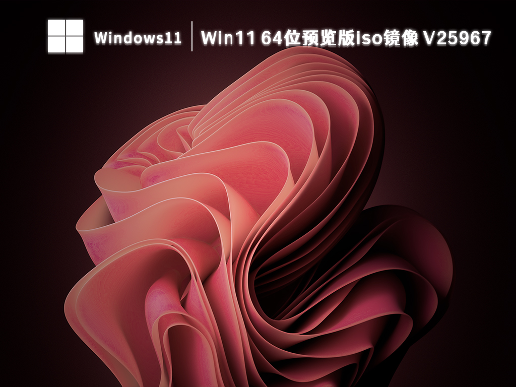 Win11 64位预览版iso镜像 V25967