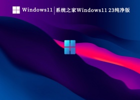 系统之家Windows11 23H2MVS+VLSC+ESD汇总纯净版V2023