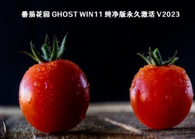 番茄花园 Ghost Win11 纯净版永久激活 V2023