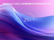 Windows11 22631.2506纯净版23H2自用优化版V2023