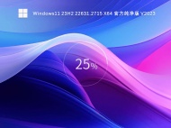 Windows11 23H2 22631.2715 X64 官方纯净版 V2023