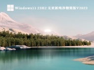 Windows11 23H2 无更新纯净精简版V2023