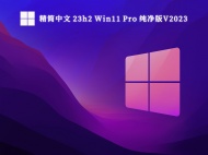 精简中文 23h2 Win11 Pro 纯净版V2023