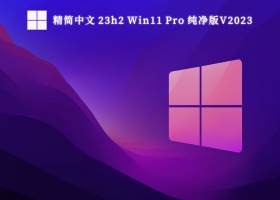 精简中文 23h2 Win11 Pro 纯净版V2023