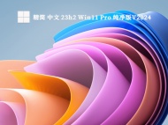 精简 中文 23h2 Win11 Pro 纯净版V2024
