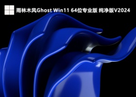 雨林木风Ghost Win11 64位专业版 纯净版V2024