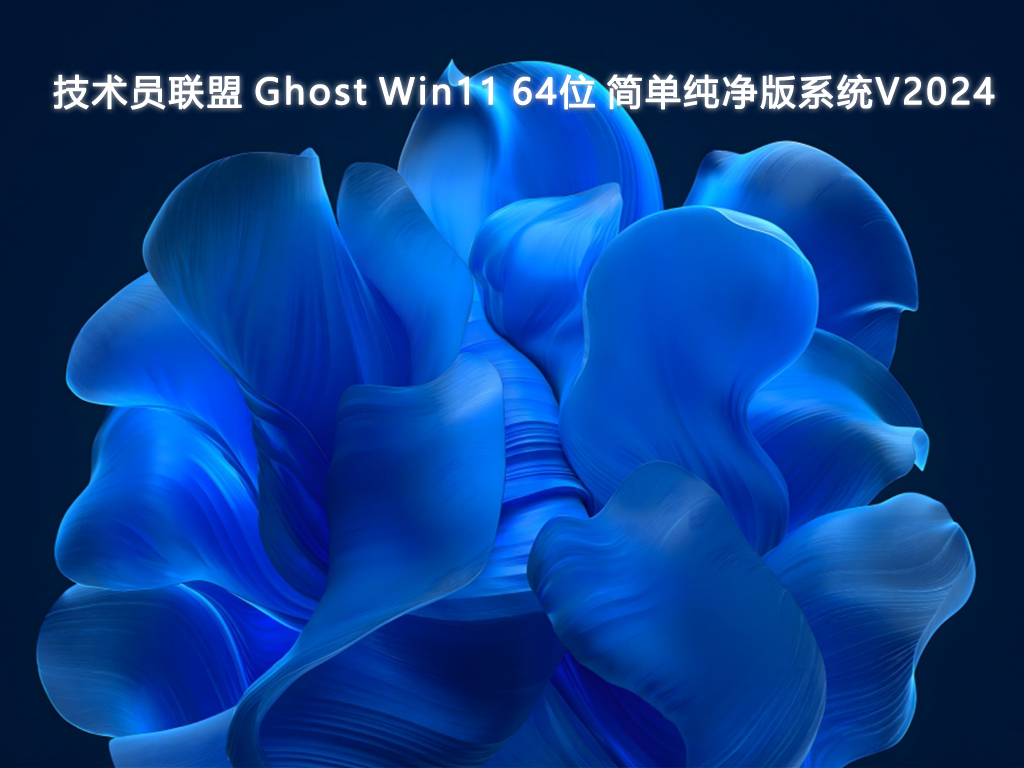 技术员联盟 Ghost Win11 64位 简单纯净版系统V2024